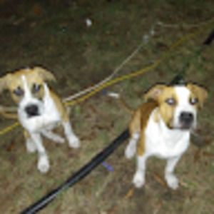 Meet your Posher, Haylee